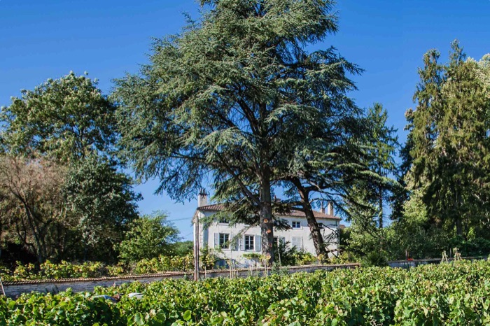 Maison vue des Vignes de Rully